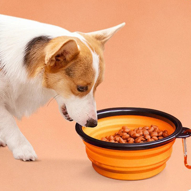 Portable Foldable Pet Bowl