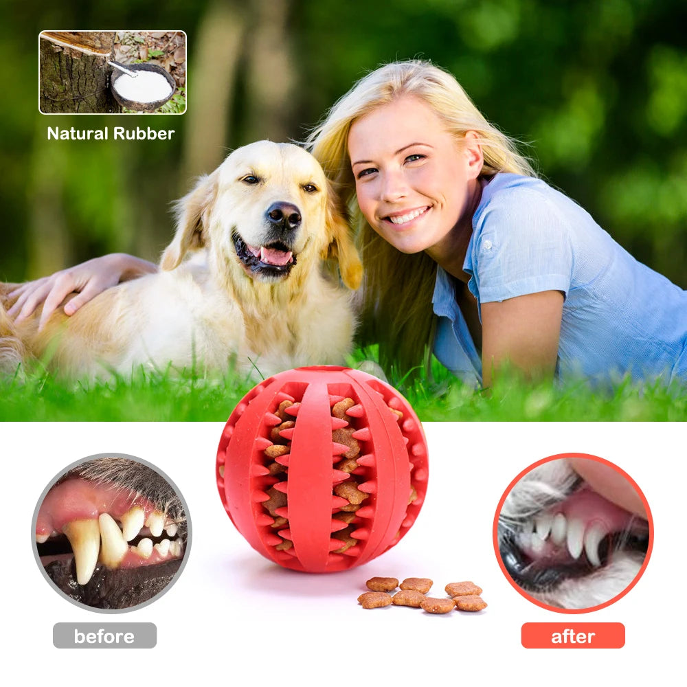 Pet Interactive Rubber Balls