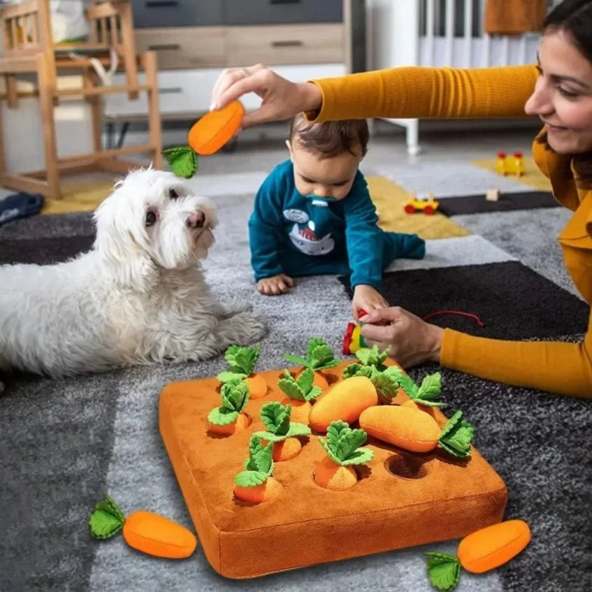 Carrot Snuffle Mat for Pet