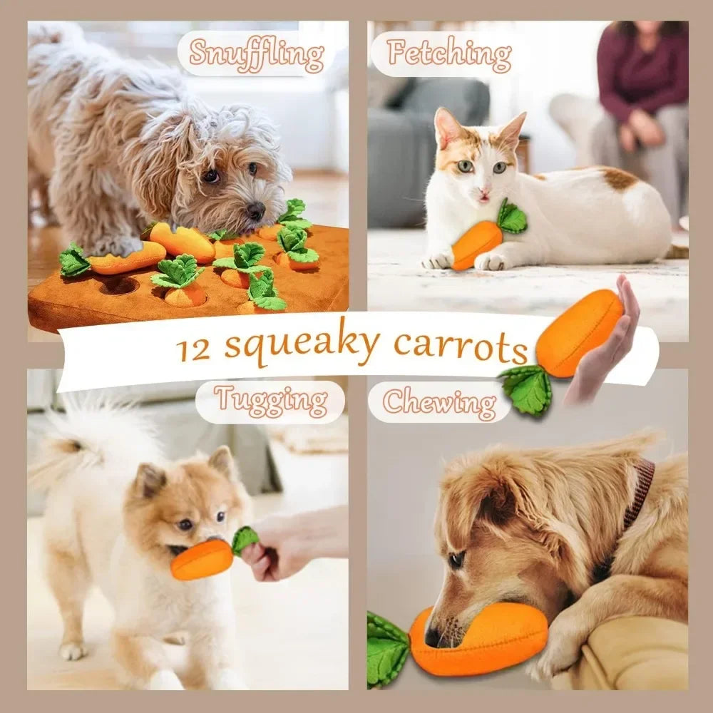 Carrot Snuffle Mat for Pet